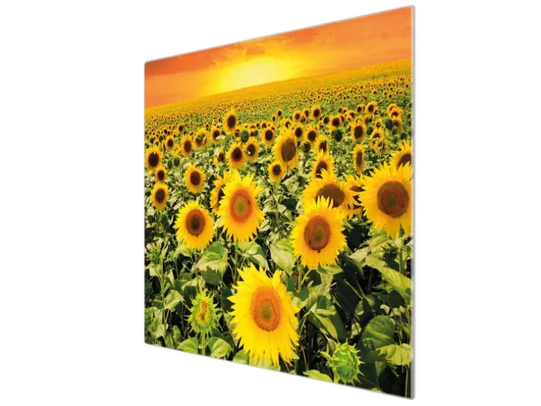 Banjado Herdabdeckplatte Glas 1 Teilig 60x52CM Schneidebrett Herdabdeckung Mit Motiv Sonnenblumenmeer