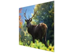 Banjado Herdabdeckplatte Glas 1 Teilig 60x52CM Schneidebrett Herdabdeckung Mit Motiv Hirsch