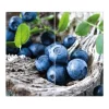 Banjado Herdabdeckplatte Glas 2 Teilig Je 30x52CM Schneidebrett Herdabdeckung Mit Motiv Blaubeeren