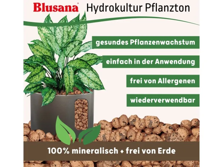 Blusana Blähton Pflanzsubstrat Pflanzton grobe Körnung 8-16 mm 50 l