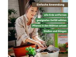 Blusana Blähton Pflanzsubstrat Pflanzton grobe Körnung 8-16 mm 50 l