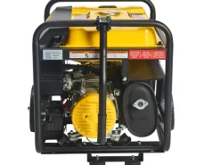 Champion Stromerzeuger AVR Technologie CPG3500E2-DF-EU DualFuel 2800 W