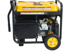 Champion Stromerzeuger AVR Technologie CPG3500E2-DF-EU DualFuel 2800 W