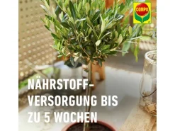 Compo Bio Mediterrane Pflanzenerde Torffrei 40 l