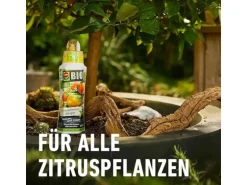 Compo Bio Zitruspflanzendünger 500 ml