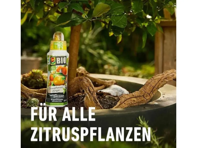 Compo Bio Zitruspflanzendünger 500 ml