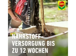 Compo Sana Rosenerde 1 x 40 l