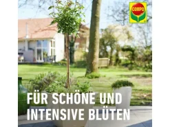 Compo Sana Rosenerde 1 x 40 l