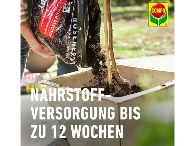 Compo Sana Rosenerde 1 x 20 l