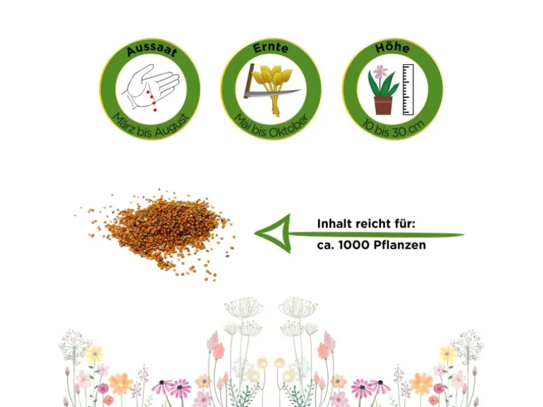 Deine Gartenwelt Brunnenkresse Kultivierte Samen