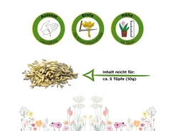 Deine Gartenwelt Katzengras Mischung Samen