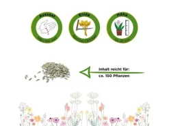 Deine Gartenwelt Mini-Romanasalat Xanadu Samen