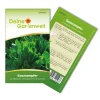 Deine Gartenwelt Sauerampfer De Belleville Samen