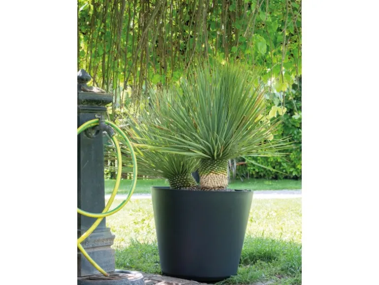 Deroma Pflanztopf Origin Plant Pot 78 cm Anthrazit