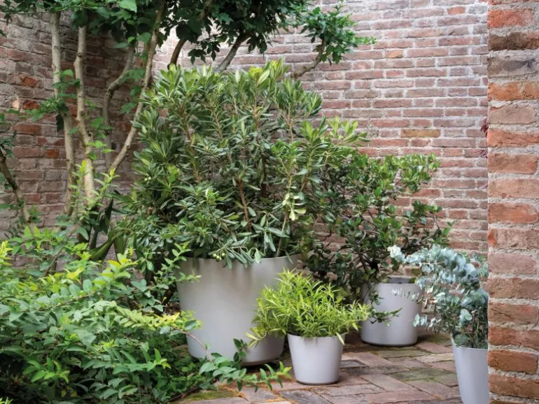Deroma Pflanztopf Origin Plant Pot 24 cm Hellgrau