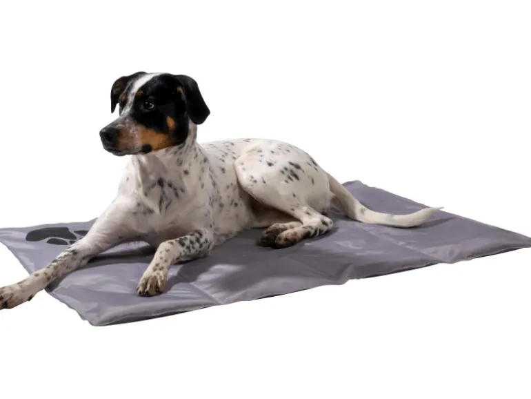 Dobar Große Kühlmatte für Hunde mit Pfoten Muster 99,5 x 70 cm Grau