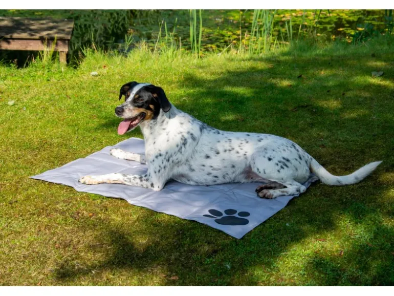 Dobar Große Kühlmatte für Hunde mit Pfoten Muster 99,5 x 70 cm Grau