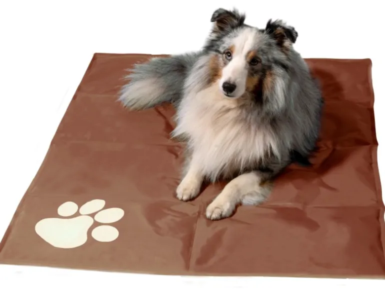 Dobar Große Kühlmatte für Hunde mit Pfoten Muster 99,5 x 70 cm Braun