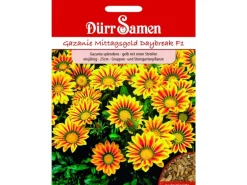 Dürr Samen Gazania Daybreak Red Stripe F1 Einjährig Saatgut