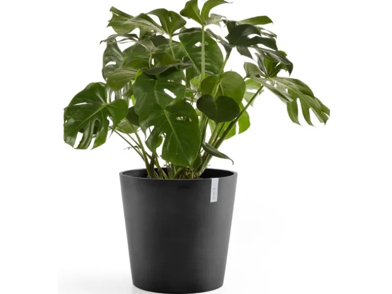 Ecopots Pflanztopf Amsterdam Dunkelgrau 60 cm
