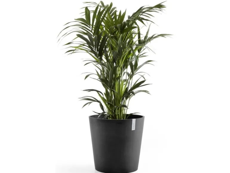 Ecopots Pflanztopf Amsterdam Dunkelgrau 60 cm