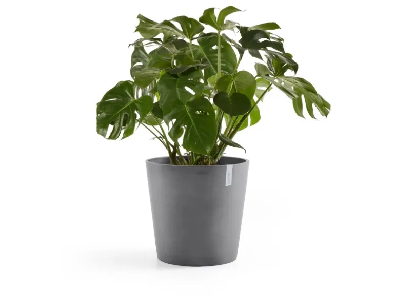 Ecopots Pflanztopf Amsterdam Ø 50 cm x 44 cm Grau