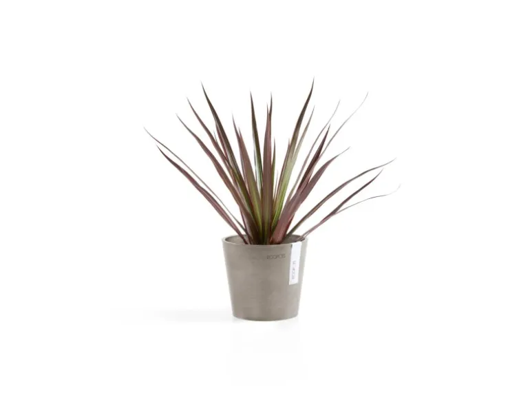 Ecopots Pflanztopf Amsterdam Mini Taupe 13 cm x 11,4 cm
