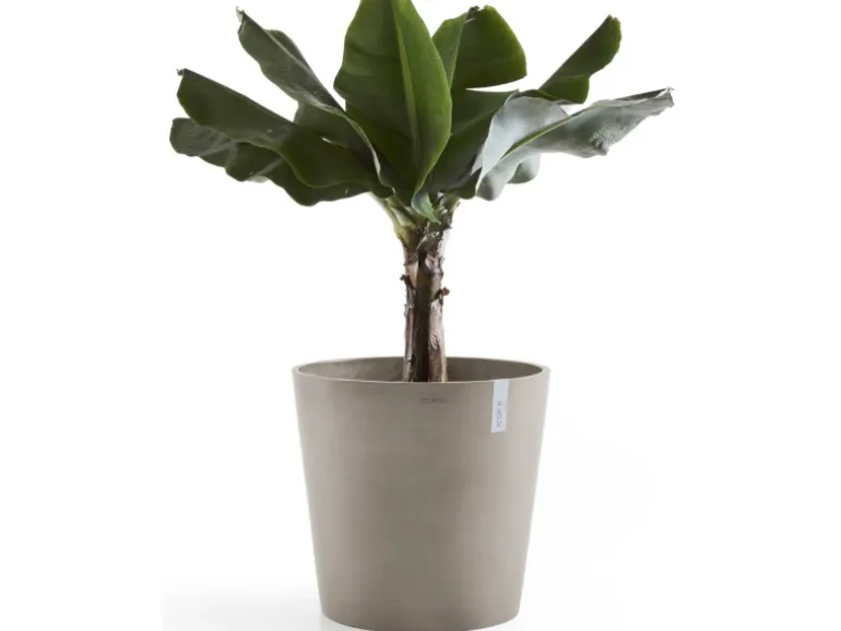 Ecopots Pflanztopf Amsterdam Braungrau 60 cm