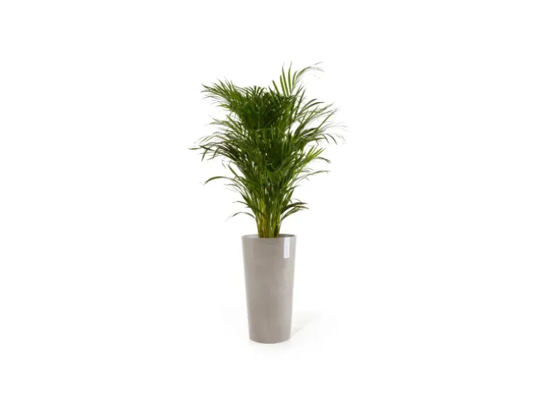 Ecopots Pflanztopf Amsterdam Halbhoch Taupe 34 cm x 66 cm