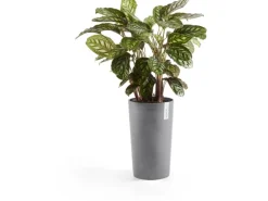Ecopots Pflanztopf Amsterdam Ø 30 cm x 50 cm Grau