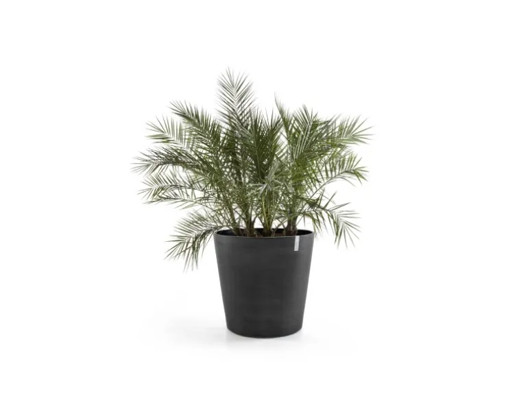 Ecopots Pflanztopf Amsterdam Rollen Dunkelgrau Ø 100 cm / Höhe 87,5 cm