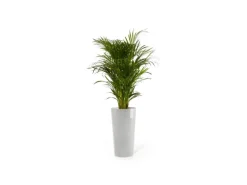 Ecopots Pflanztopf Amsterdam Halbhoch Weißgrau 34 cm x 66 cm