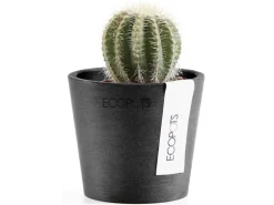 Ecopots Pflanztopf Amsterdam Mini Dunkelgrau 8 cm