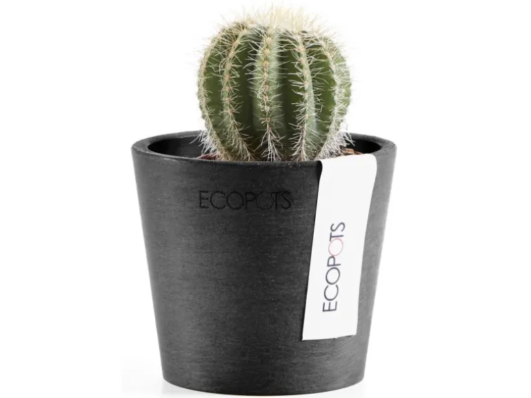 Ecopots Pflanztopf Amsterdam Mini Dunkelgrau 8 cm