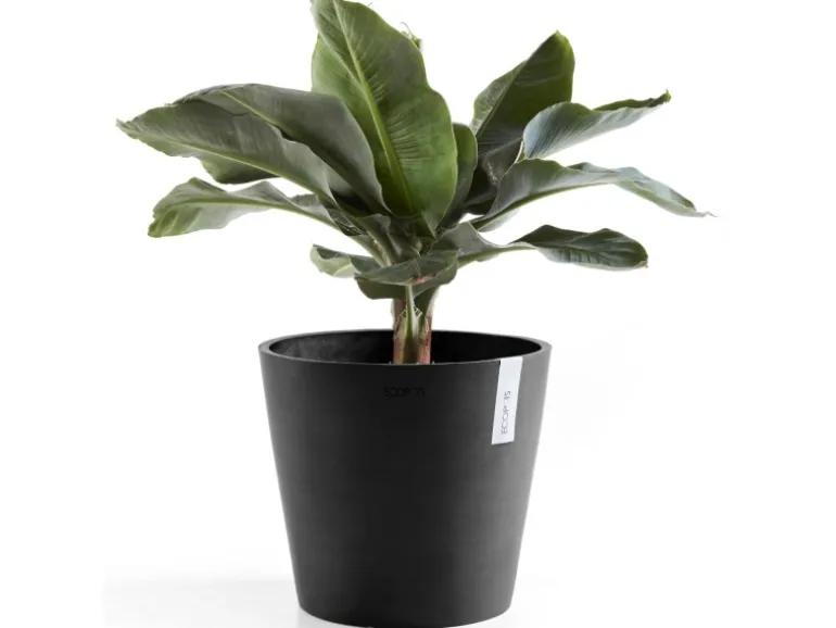 Ecopots Pflanztopf Amsterdam Dunkelgrau Ø 30 cm / Höhe 26,3 cm