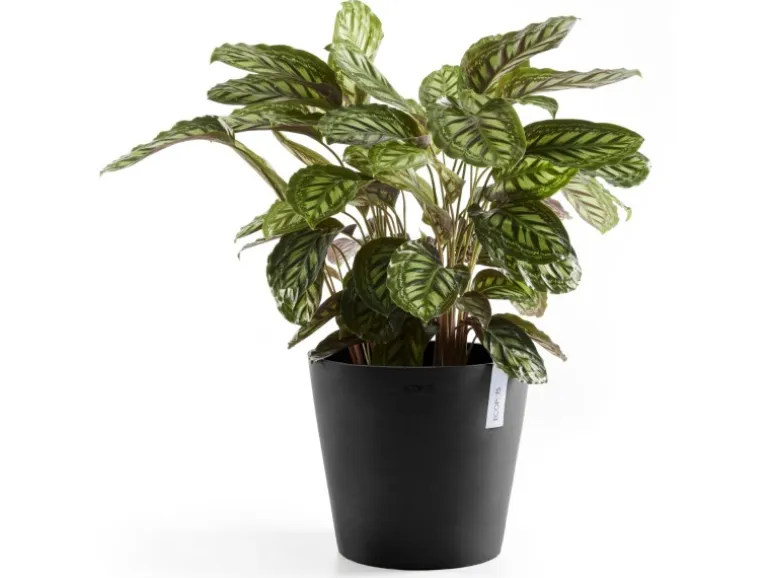 Ecopots Pflanztopf Amsterdam Dunkelgrau Ø 30 cm / Höhe 26,3 cm