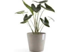 Ecopots Pflanztopf Amsterdam Braungrau 30 cm