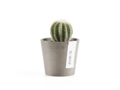 Ecopots Pflanztopf Amsterdam Mini Taupe 8 cm x 7 cm