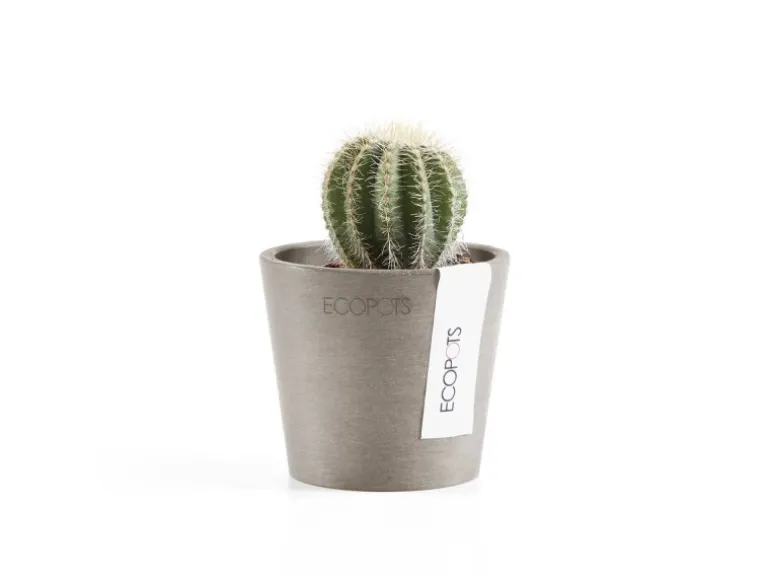 Ecopots Pflanztopf Amsterdam Mini Taupe 8 cm x 7 cm