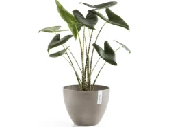 Ecopots Pflanztopf Antwerp Braungrau 40 cm