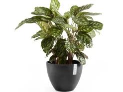 Ecopots Pflanztopf Antwerp Dunkelgrau 30 cm