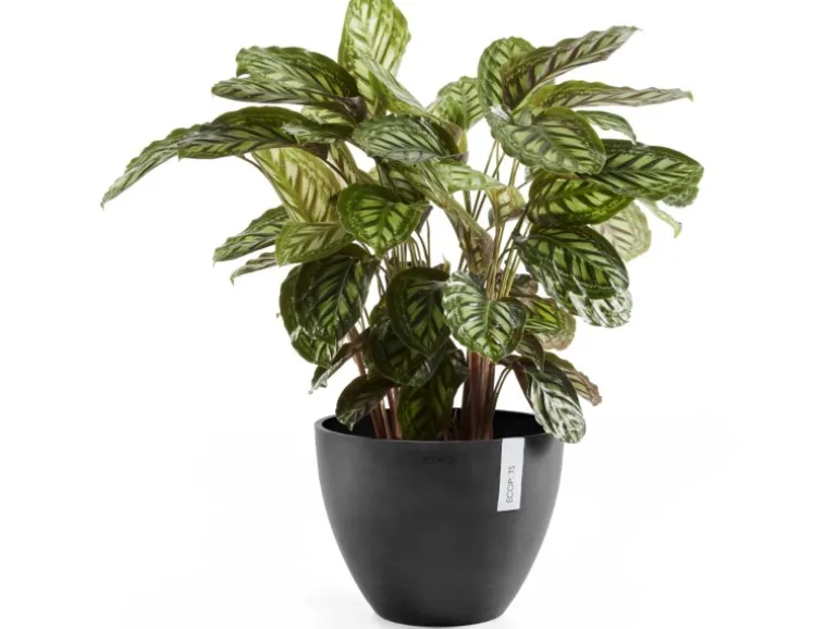 Ecopots Pflanztopf Antwerp Dunkelgrau 30 cm
