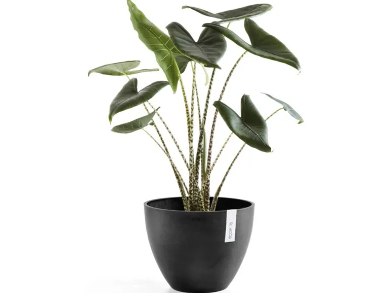 Ecopots Pflanztopf Antwerp Dunkelgrau 30 cm