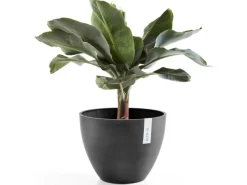 Ecopots Pflanztopf Antwerp Dunkelgrau 40 cm