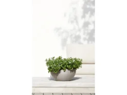 Ecopots Pflanztopf Brussels Braungrau 30 cm x 14 cm
