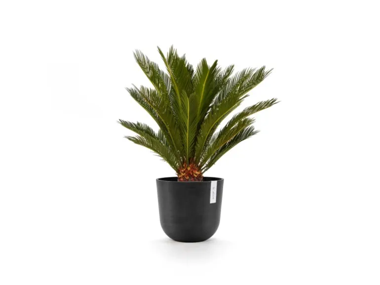 Ecopots Pflanztopf Oslo Dunkelgrau 25 cm x 21,8 cm