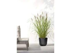 Ecopots Pflanztopf Oslo Dunkelgrau 25 cm x 21,8 cm