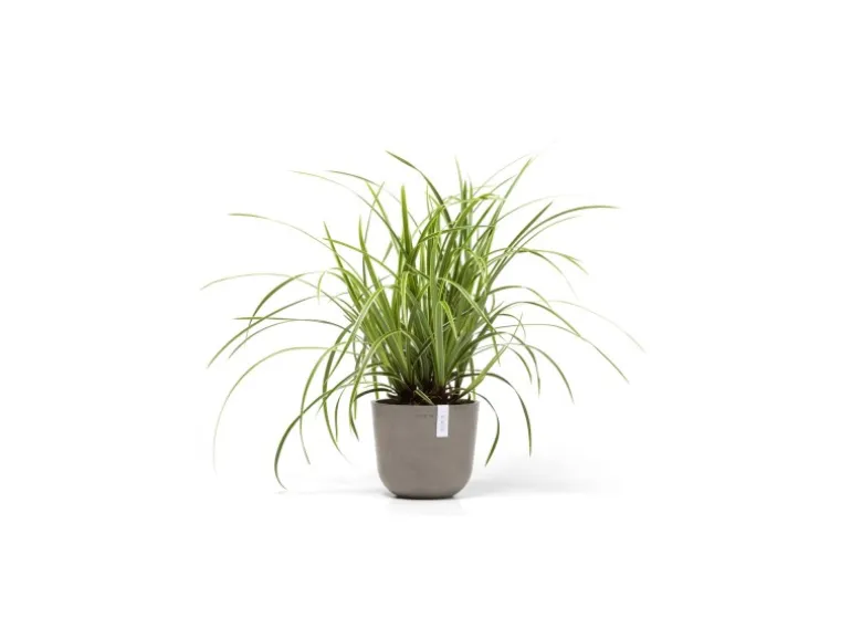 Ecopots Pflanztopf Oslo Mini Braungrau 19 cm x 16,5 cm