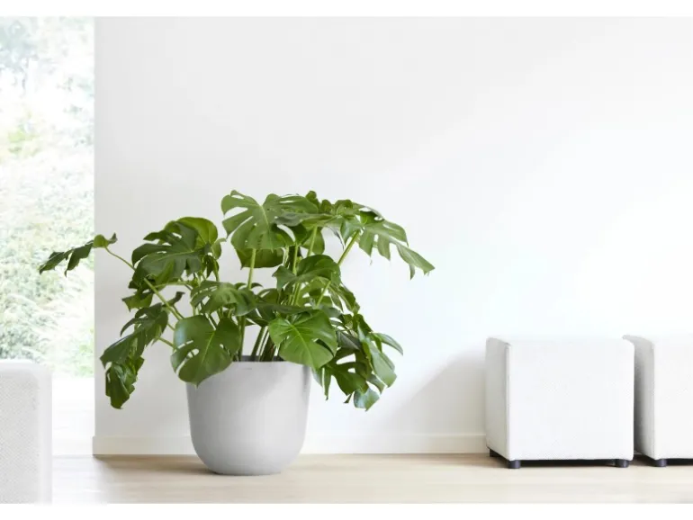 Ecopots Pflanztopf Oslo Weißgrau 45 cm x 39,2 cm