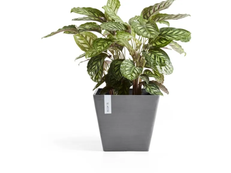 Ecopots Pflanztopf Rotterdam Grau (HxBxT) 26 x 30 x 30 cm